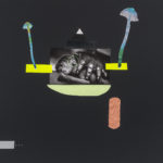 Puny Benjamenta IV, 2016